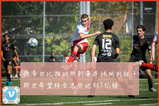 德泽尔比推动热刺争夺托纳利纽卡斯尔希望转会总价达到1亿镑